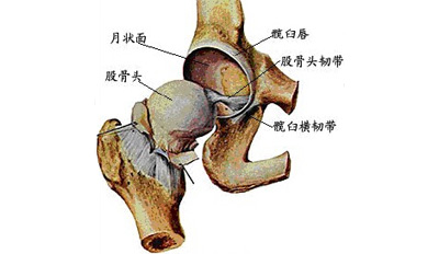 骨盆,髋臼骨折的急救